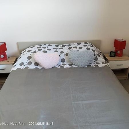 Apartment Einliegerwohnung Hagenthal-le-Haut Esterno foto